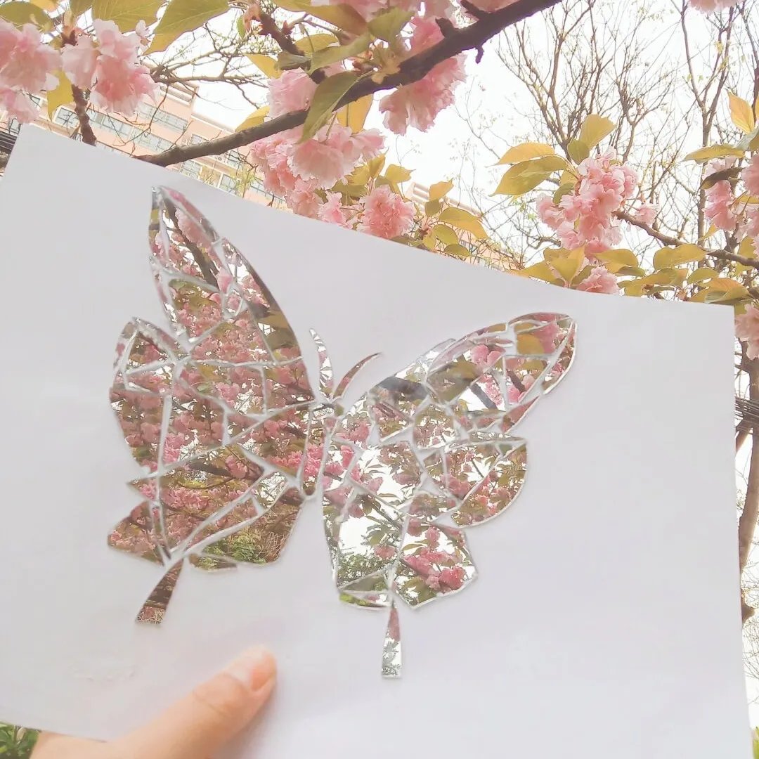 Creative handmade DIY - 🦋Butterfly Broken Mirror Photo Frame