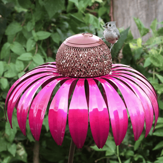 Pink Coneflower Bird Feeder