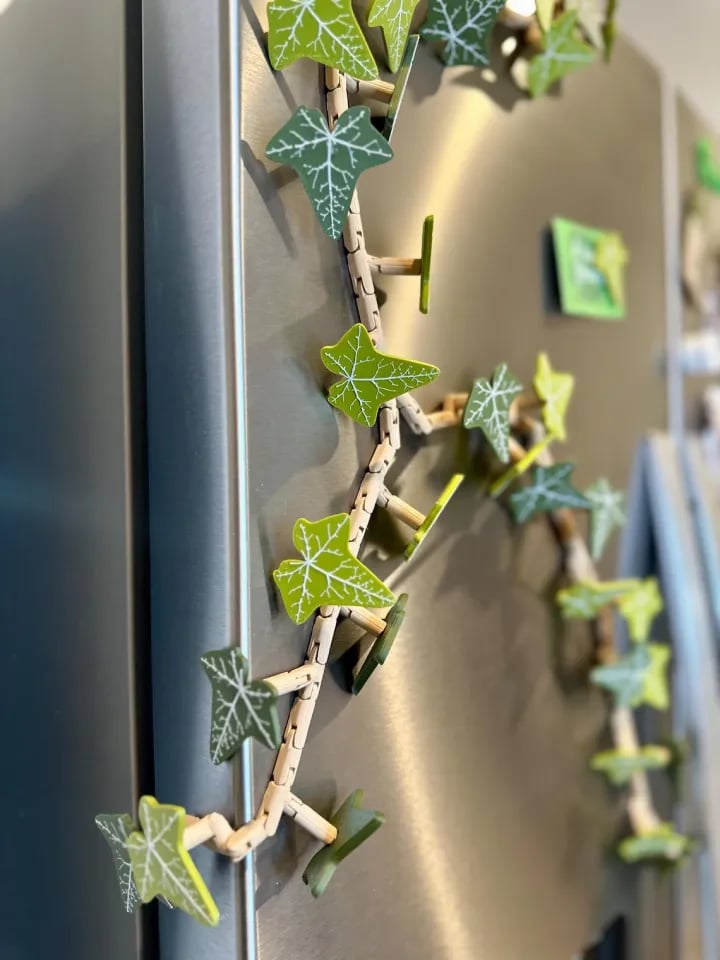 Ivy Fridge Magnets Vine