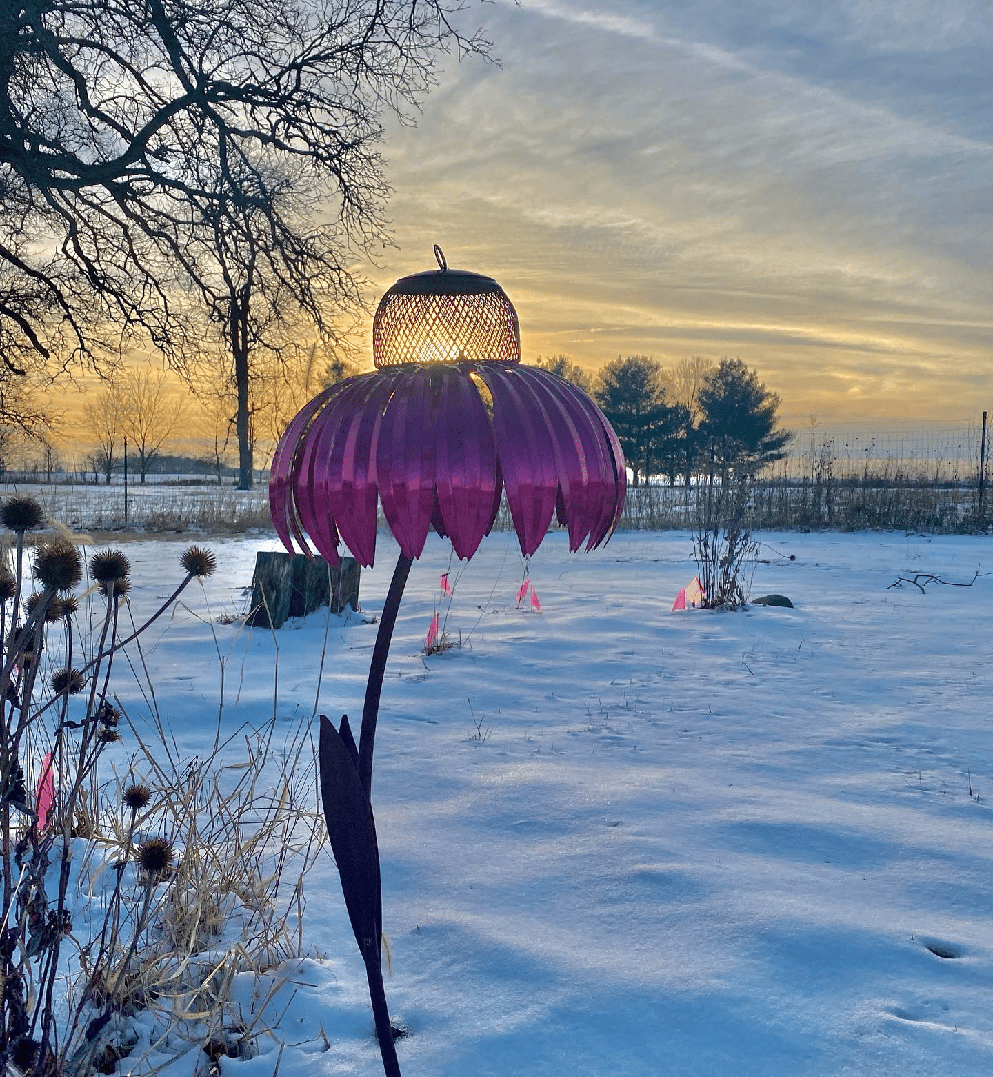 Pink Coneflower Bird Feeder