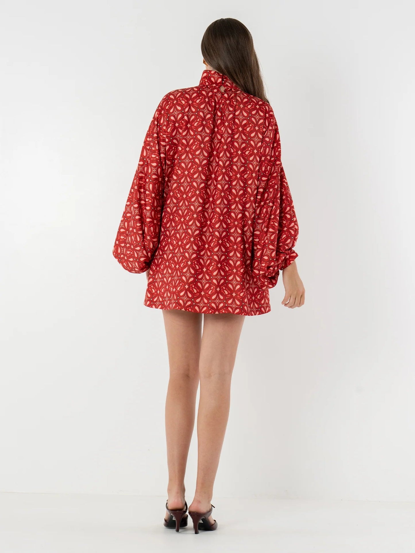 Bohemian High Neck Lantern Sleeve Mini Dress