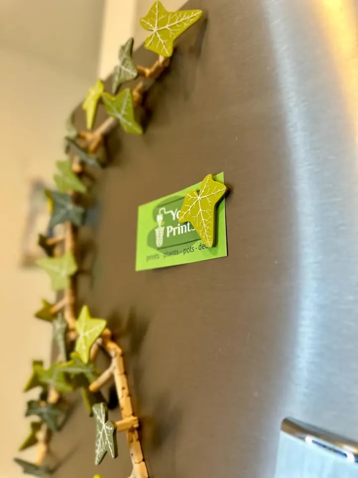 Ivy Fridge Magnets Vine