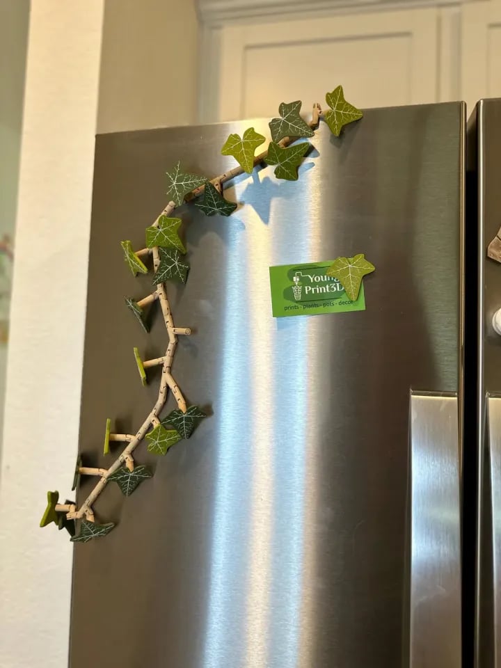 Ivy Fridge Magnets Vine