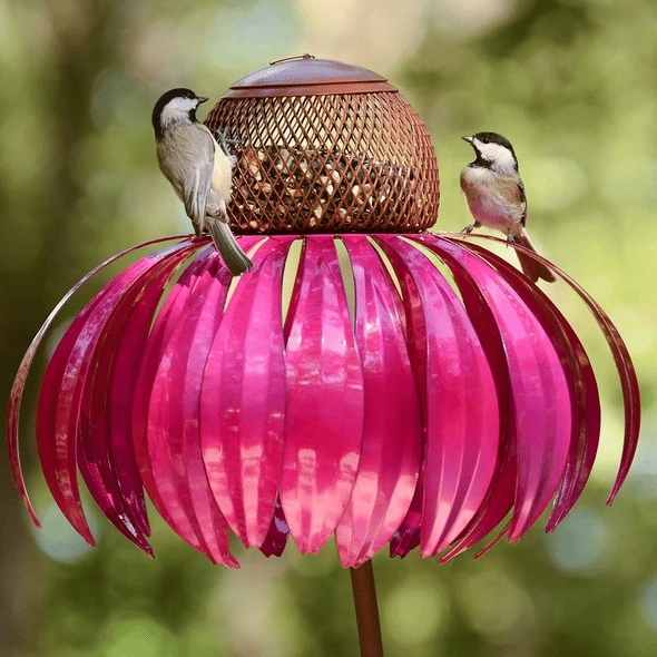 Pink Coneflower Bird Feeder