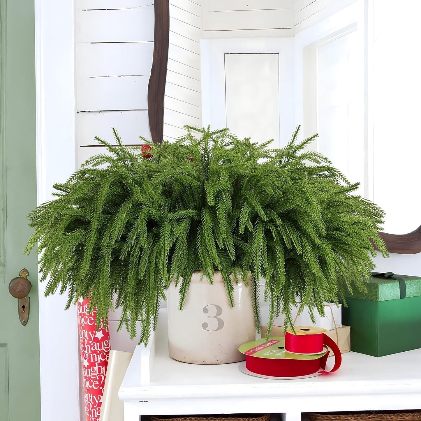 🎄Natural Christmas Greenery 🎄Norfolk Pine Branch